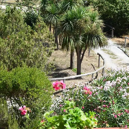 Fondo Santa Lucia Apartament